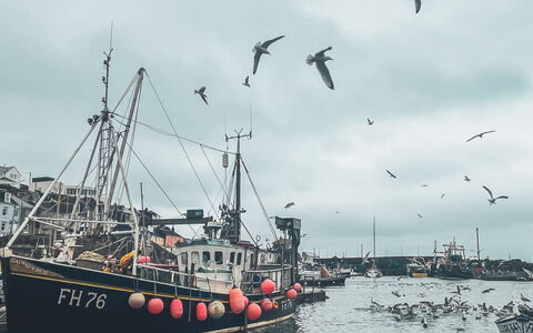 Rosehip Cottage: Boat, Water, Watercraft, Ship, Sea, Boats And Boating--Equipment And Supplies, Naval Architecture, Harbor, Ocean, Channel