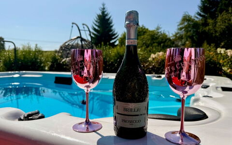 Luxury Palace with Swimming Spa&Jacuzzi: Bottle, Drinkware, Tableware, Glass Bottle, Stemware, Wine