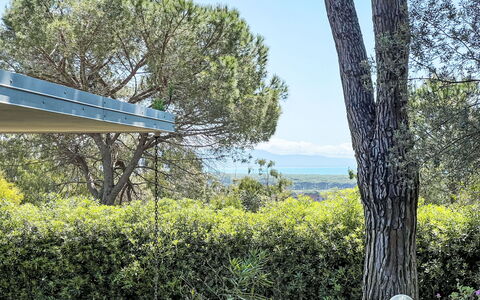 Villa Anna: Daytime, Green, Leaf, Vegetation, Shrub, Spring, Woody Plant, Shade, Sunlight, Garden