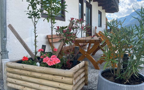 Panoramaperle: Wood, Flowerpot, Houseplant, Garden, Hardwood, Floristry, Plank, Wood Stain, Herb