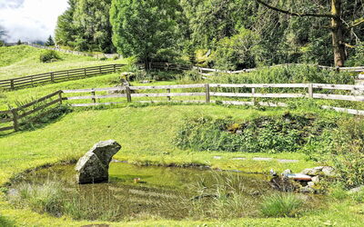 Längenfeld 290: Grass, Grassland, Plant Community, Groundcover, Meadow, Spring, Pasture, Garden