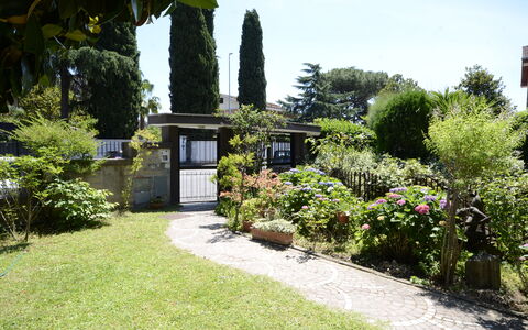 Casa Silvia: Shrub, Garden, Plant Community, Groundcover, Landscaping, Yard, Shade, Backyard, Lawn