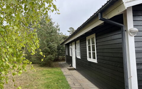 Marja - 350M from the Sea: Grass, Grassland, Land Lot, Cottage, Rural Area, Meadow, Garden Buildings, Garden, Shed
