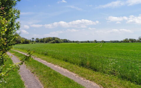 Aarni - 6.5Km from the Sea: Apartment, Condominium, Estate, Balcony, Villa, Hotel