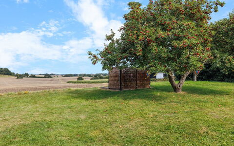 Alisa - 2.5Km from the Sea: Grass, Grassland, Land Lot, Cottage, Rural Area, Meadow, Garden Buildings, Garden, Shed