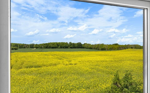 Alisa - 2.5Km from the Sea: Grass, Grassland, Land Lot, Cottage, Rural Area, Meadow, Garden Buildings, Garden, Shed