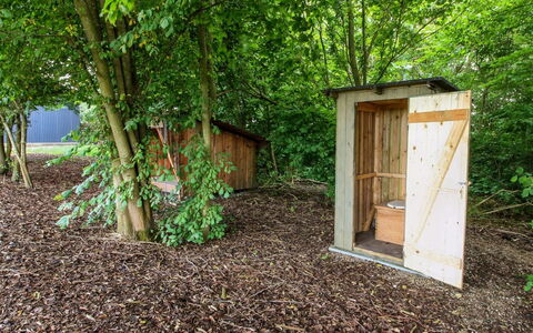 Henrieke - 10Km from the Sea: Leaf, Wood, Trunk, Groundcover, Woody Plant, Natural Material, Soil, Garden, Backyard, Outhouse