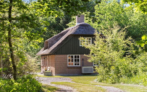 Hilaria - 2.1Km from the Sea: Tree, Cottage, Shrub, House, Roof, Rural Area, Home, Farmhouse, Spring, Thatching