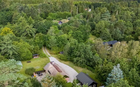 Hilaria - 2.1Km from the Sea: Tree, Natural Environment, Landscape, Rural Area, Land Lot, Bird'S-Eye View, Human Settlement, Aerial Photography, Cottage, Plantation