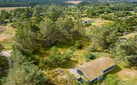 Saila - 1.2Km from the Sea: Vegetation, Landscape, Ecoregion, Land Lot, Plant Community, Rural Area, Cottage, Field, Meadow, Plantation