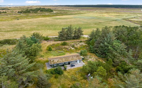 Saila - 1.2Km from the Sea: Natural Environment, Ecoregion, Landscape, Plain, Grassland, Land Lot, Rural Area, Cottage, Prairie, Field
