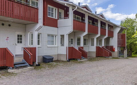 Levin Mini: Wood, Cottage, Log Cabin, Forest, Shed, Garden Buildings, Larch, Woodland, Wood Stain