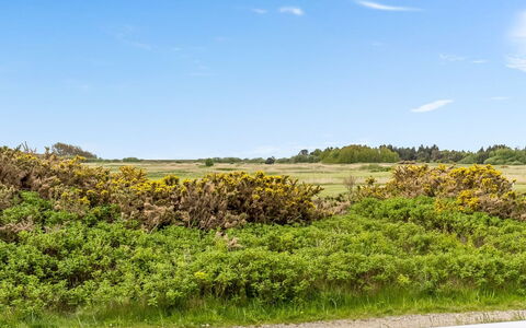 Steffan - 2.3Km from the Sea: Cottage, Backyard, Yard, Garden Buildings, Shed, Siding, Outdoor Furniture, Log Cabin, Outdoor Structure, Shack