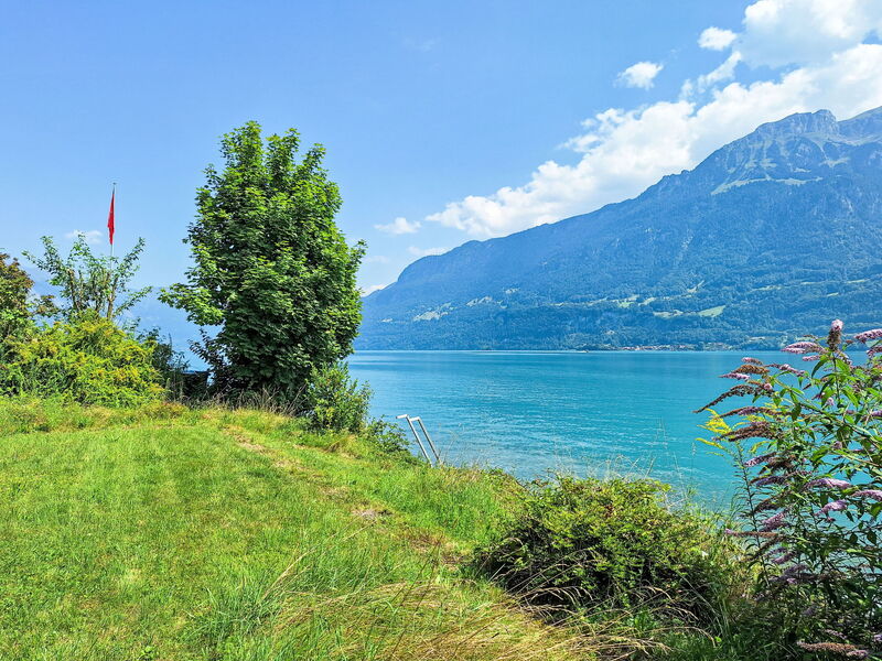 Accommodation:&nbsp;Haus am See 130.1