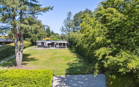 Guthfrith - 1.4Km from the Sea: Vegetation, Shrub, Spring, Cottage, Garden, Shade, Backyard, Yard, Chair