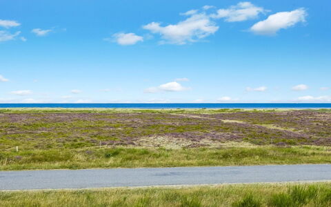 Lutz - 340M from the Sea: Roof, House, Home, Cottage, Siding, Estate, Driveway, Garden Buildings, Yard, Shed