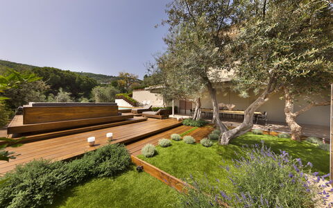 Villantonella: Garden, Shrub, Groundcover, Landscaping, Backyard, Yard, Shade, Estate, Walkway, Eco Hotel
