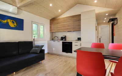 Plau am See 550: Flooring, Interior Design, Wood, Floor, Ceiling, Wood Flooring, Room, Furniture, Living Room, Couch