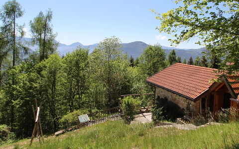 Baita Costa Di Gial: Tree, House, Cottage, Rural Area, Hill Station, Larch, Mountain Range, Village, Mountain Village