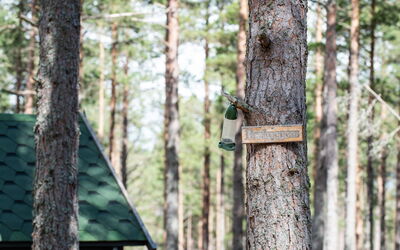 Accommodation:&nbsp;Beekeepers Bothy 101.1