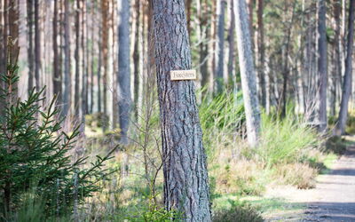 Accommodation:&nbsp;Forester'S Bothy 101.5