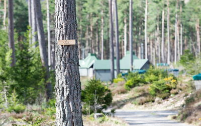 Accommodation:&nbsp;Oak Bothy 101.11