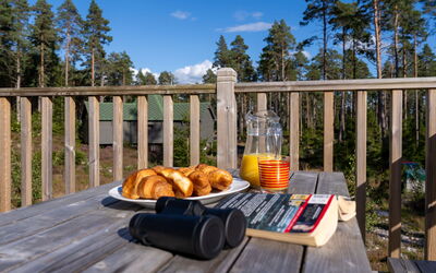 Accommodation:&nbsp;Birch Bothy 101.7