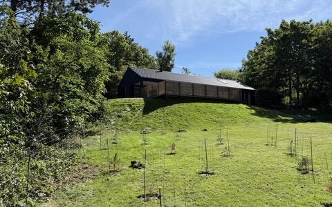 Aggi - 850M from the Sea: Cottage, Backyard, Yard, Garden Buildings, Shed, Siding, Outdoor Furniture, Log Cabin, Outdoor Structure, Shack