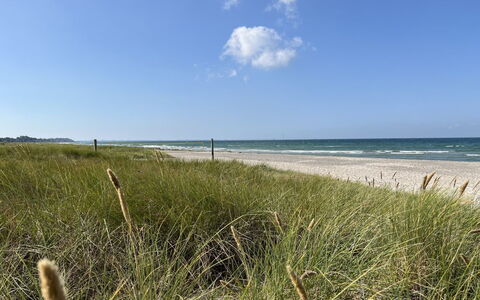 Hawarth - 275M from the Sea: Blue, Natural Environment, Horizon, Coast, Ecoregion, Summer, Sea, Coastal And Oceanic Landforms, Shore, Beach