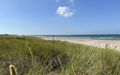 Hawarth - 275M from the Sea