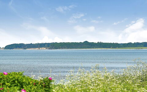 Gertje - 20M from the Sea: Blue, Shrub, Cottage, Groundcover, Garden, Estate, Shade, Landscaping, Farmhouse, Eco Hotel