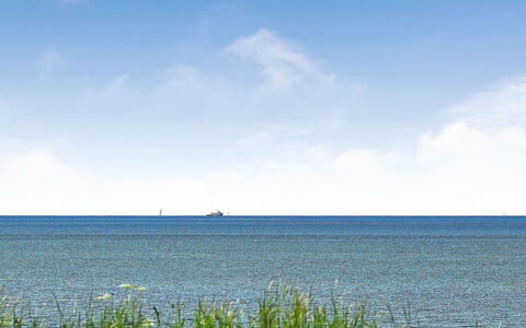 Gertje - 20M from the Sea: Blue, Shrub, Cottage, Groundcover, Garden, Estate, Shade, Landscaping, Farmhouse, Eco Hotel