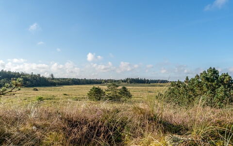 Anneka - 750M from the Sea: Sky, Blue, Cloud, Natural Environment, Grass, Grassland, Vegetation, Natural Landscape, Ecoregion, Plain