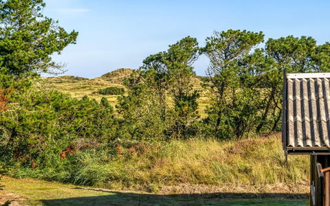 Anneka - 750M from the Sea: Sky, Grass, Green, Vegetation, Grassland, Natural Landscape, Ecoregion, Shrub, Landscape
