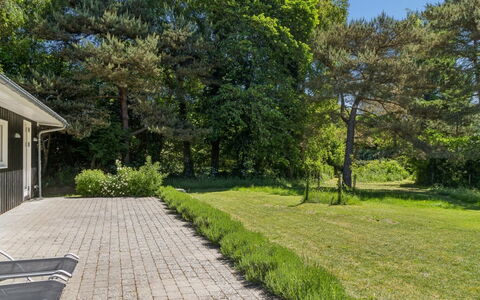 Angelika - 1.3Km from the Sea: Grass, Green, Shrub, Land Lot, Garden, Groundcover, Shade, Lawn, Cottage, Landscaping