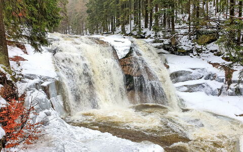 Harrachov 509