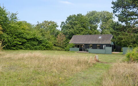 Joon - 100M from the Sea: Grass, Tree, Grassland, Vegetation, Rural Area, House, Plain, Shrub, Cottage