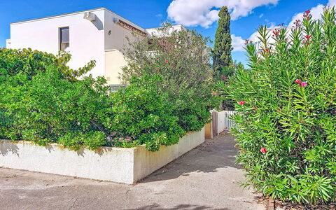 Le Barcarès 255: Shrub, Garden, Residential Area, Plant Community, Land Lot, Groundcover, Landscaping, Backyard, Yard