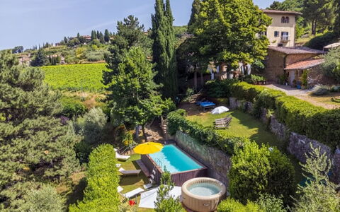 Ridaldi: Landscape, Land Lot, Plantation, Pine Family, Evergreen