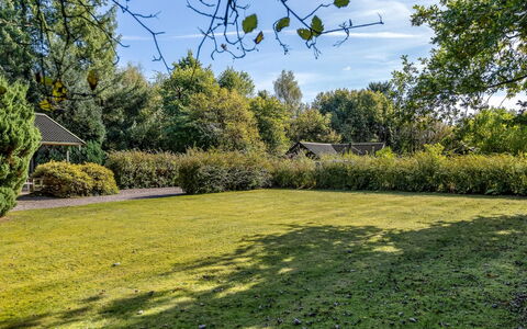 Aron - 30Km from the Sea: Green, Tree, Grass, Leaf, Shrub, Garden, Grassland, Land Lot, Lawn, Groundcover