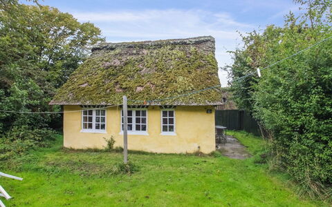 Thorfrid - 1Km from the Sea: Thatching, Roof, House, Cottage, Rural Area, Land Lot, Hut, Cob, Village, Shed