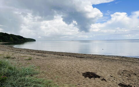 Solja - 85M from the Sea: Grass, Grassland, Land Lot, Cottage, Rural Area, Meadow, Garden Buildings, Garden, Shed