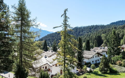 Spunda Biala: Tree, House, Home, Larch, Cottage, Village, Evergreen, Mountain Village