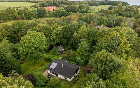 Velika - 300M to the Fjord: Grass, Grassland, Land Lot, Cottage, Rural Area, Meadow, Garden Buildings, Garden, Shed