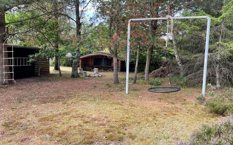 Hals 983: Tree, Grass, Land Lot, Garden, Backyard, Woodland, Lawn, Yard, Shade, Soil