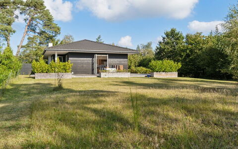 Alvia - 1.6Km from the Sea: Vegetation, Shrub, Spring, Cottage, Garden, Shade, Backyard, Yard, Chair