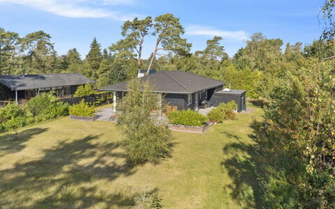 Alvia - 1.6Km from the Sea: Vegetation, Shrub, Spring, Cottage, Garden, Shade, Backyard, Yard, Chair