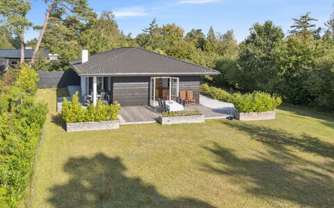 Alvia - 1.6Km from the Sea: Vegetation, Shrub, Spring, Cottage, Garden, Shade, Backyard, Yard, Chair
