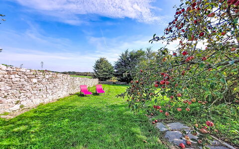 De Cap en Cap: Green, Shrub, Garden, Landscape, Cloud, Spring, Groundcover, Lawn, Landscaping, Meadow