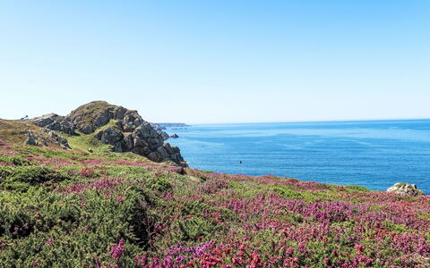 De Cap en Cap: Flower, Coast, Sea, Horizon, Coastal And Oceanic Landforms, Terrain, Plant Community, Ocean, Groundcover, Headland